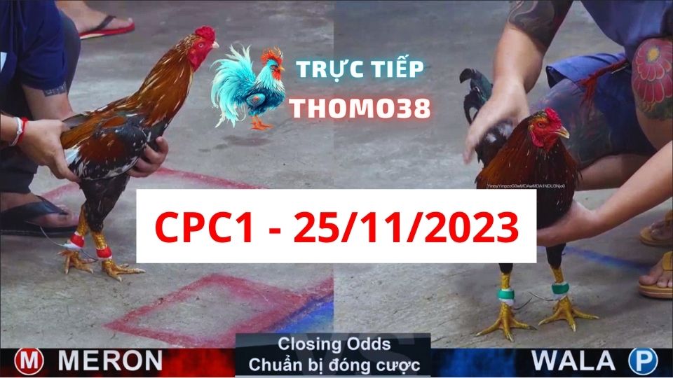 Đá gà CPC1 25-11-2023