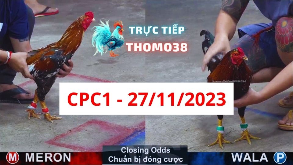 Đá gà CPC1 27-11-2023