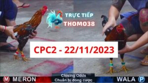 Đá gà CPC2 22-11-2023