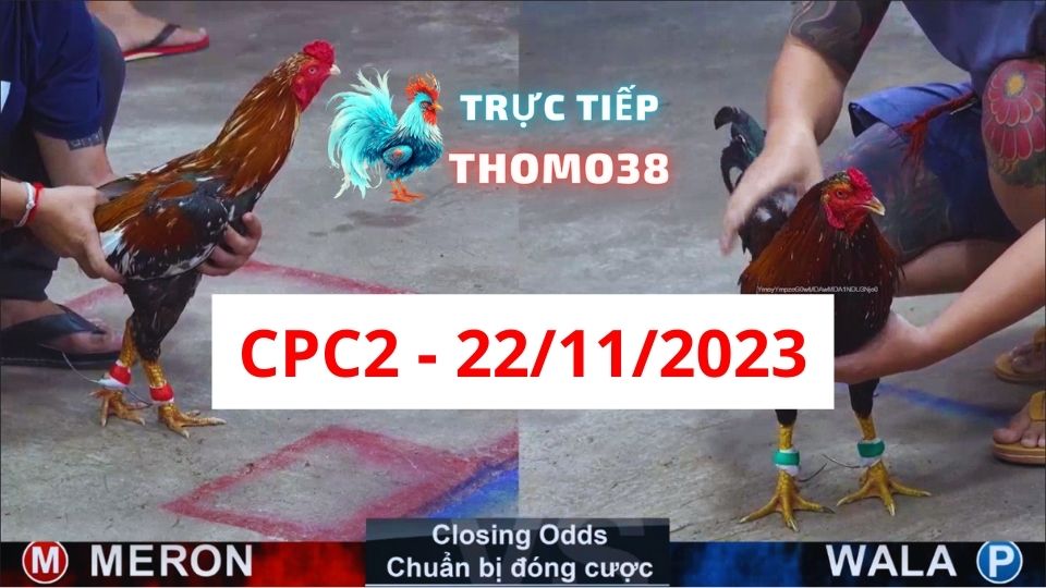 Đá gà CPC2 22-11-2023
