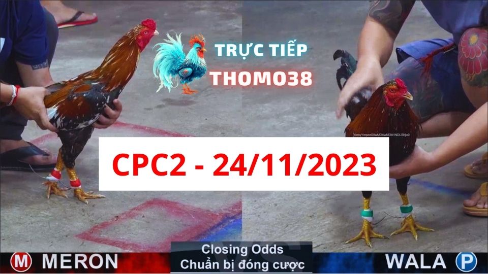 Đá gà CPC2 24-11-2023