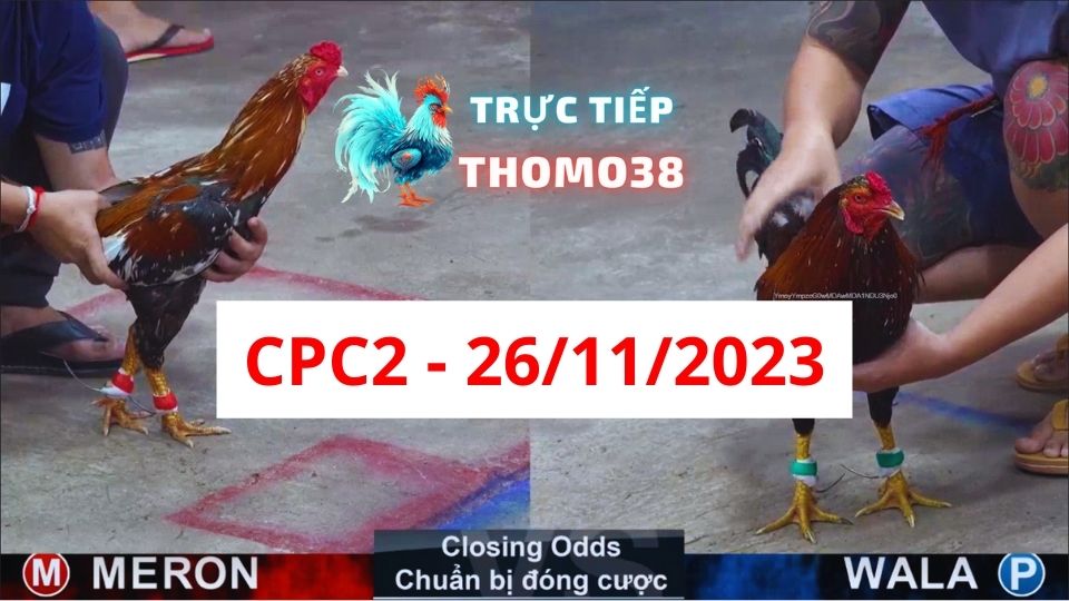 Đá gà CPC2 26-11-2023