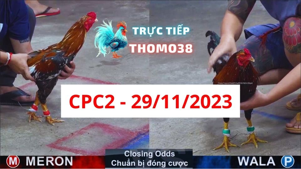Đá gà CPC2 29-11-2023