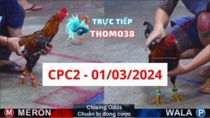 Đá gà CPC2 01-03-2024