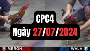 Đá gà CPC4 27-07-2024