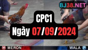 Đá gà CPC1 07-09-2024