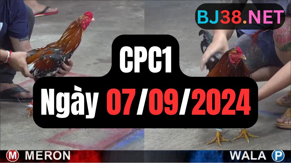 Đá gà CPC1 07-09-2024