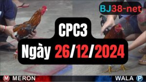 Đá gà CPC3 26-12-2024